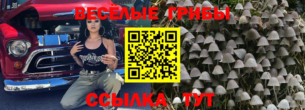 Псилоцибиновые грибы прущие грибы  Вход с VPN  Псилоцибиновые грибы мицелий  наркотики  Кушва 
